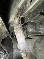 IMG_4066.JPEG