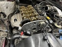 IMG_4465.JPEG