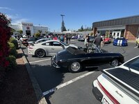 IMG_7265.jpeg