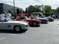IMG_7308.jpeg