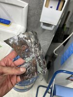 IMG_4574.JPEG
