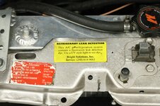 436A5446-11348-scaled.jpg