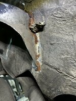 IMG_4691.jpeg