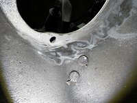 IMG_4730.jpeg