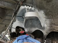 IMG_4766.jpeg