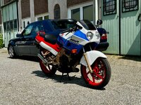 IMG_7085.jpeg