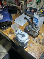 IMG_1095.jpeg