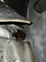 IMG_4897.jpeg