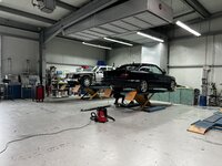 IMG_4949.jpeg