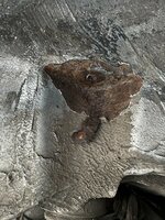 IMG_5054.jpeg