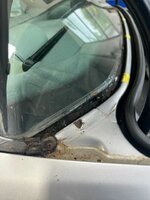 IMG_9743.jpeg IMG_9743.jpeg