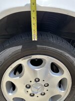 IMG_5598.jpeg