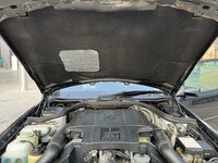 IMG_2889.jpeg