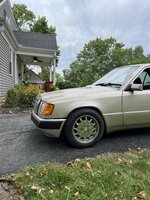 IMG_8121.jpeg