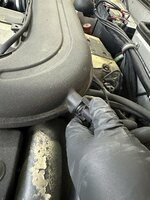 IMG_1188.jpeg IMG_1188.jpeg