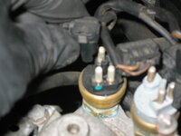 IMG_1940.JPG IMG_1940.JPG