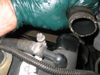 IMG_1981.JPG IMG_1981.JPG