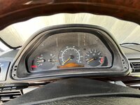 IMG_8247.jpeg