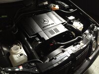 1996 AMG E60 ENGINE.JPG