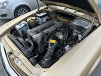 IMG_1392.jpeg