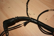 img7537.jpg