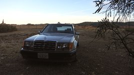 IMG_3878.JPG