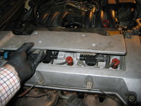 IMG_3367.JPG IMG_3367.JPG