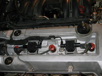 IMG_3387.JPG IMG_3387.JPG