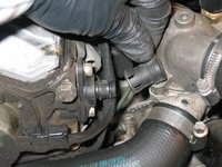 IMG_3391.JPG IMG_3391.JPG