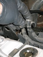 IMG_3385.jpg IMG_3385.jpg