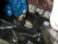 IMG_3423.JPG IMG_3423.JPG