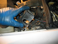 IMG_3431.JPG IMG_3431.JPG