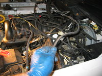 IMG_3437.JPG IMG_3437.JPG