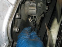 IMG_3442.JPG IMG_3442.JPG