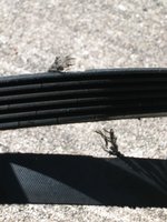 IMG_3464.jpg IMG_3464.jpg