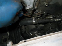 IMG_3470.JPG IMG_3470.JPG