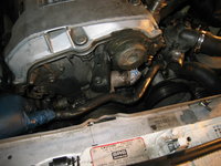 IMG_3475.JPG IMG_3475.JPG