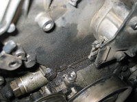 IMG_3478.JPG IMG_3478.JPG