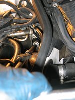 IMG_3486.jpg IMG_3486.jpg