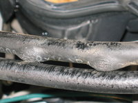 IMG_3494.JPG IMG_3494.JPG