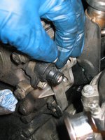 IMG_3517.jpg IMG_3517.jpg