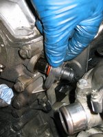 IMG_3518.jpg IMG_3518.jpg