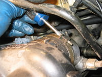 IMG_3538.JPG IMG_3538.JPG