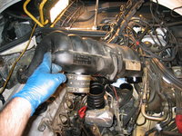 IMG_3541.JPG IMG_3541.JPG