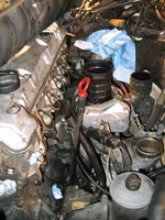 IMG_3544.jpg IMG_3544.jpg