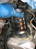 IMG_3545.jpg IMG_3545.jpg