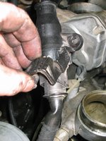 IMG_3559.jpg IMG_3559.jpg