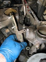 IMG_3587.jpg IMG_3587.jpg