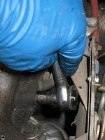 IMG_3589.jpg IMG_3589.jpg