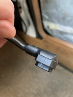 IMG_2981.jpeg